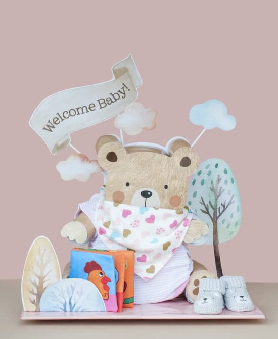 Newborn Baby Gift Diaper Cake / Parcel Bayi - Bear Girl