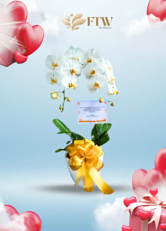 Bunga Meja - Valentine - Parselia - Indonesia - 007