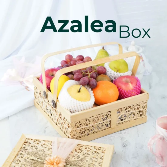 Parcel Buah - Fruit Box - Indonesia - TBR - 005